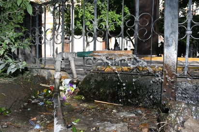 Desperdicio de agua limpia. Una gran fuga de agua causa la molestia de los lerdenses que visitan el espacio, pues en sus casas no sale el líquido y aquí se desperdicia.