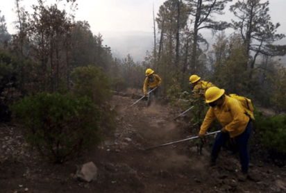 La superficie afectada, solamente por estos incendios, es de 14 mil 061 hectáreas. (EL SIGLO DE TORREÓN)