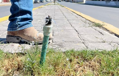 Se recorrieron bulevares, plazas, paseos y jardines públicos para ajustar, limpiar o cambiar los aspersores que no permitieran la salida del agua. (EL SIGLO DE TORREÓN)