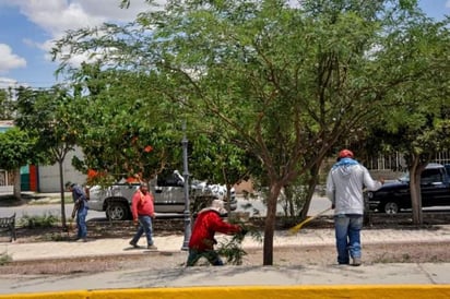 Se busca que los visitantes se lleven una buena imagen de San Pedro. (EL SIGLO DE TORREÓN)