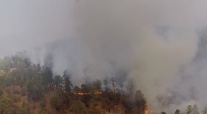 El incendio que se registró en los municipios de San Bernardo y Guanaceví es el más grande que se ha presentado en todo el país este año. (EL SIGLO DE TORREÓN)