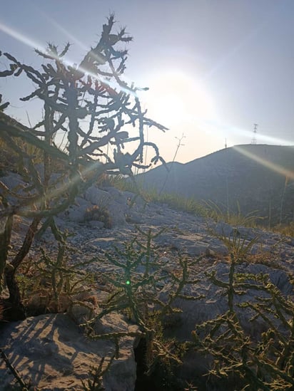 El Desierto Chihuahuense es el más grande en Norteamérica. (EL SIGLO DE TORREÓN)