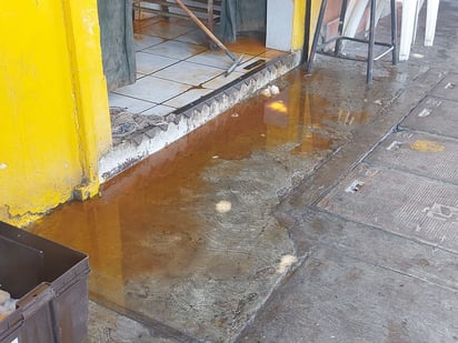 En la entrada había charcos de agua rojiza fugada de un balde donde lavaban las aves. (EL SIGLO DE TORREÓN)