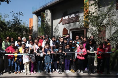 La jefa de Gobierno de la Ciudad de México, Claudia Sheimbaum, en compañía de visitantes, inauguró en el Zoológico de Chapultepec el Museo del Axolote y Centro de Conservación de Anfibios también conocido como Anfibium, cuyo fin es el de preservar, proteger y reproducir el axolote, un anfibio endémico mexicano en peligro de extinción.