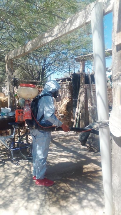 Fumigan en colonia Emiliano Zapata para prevenir  rickettsiosis