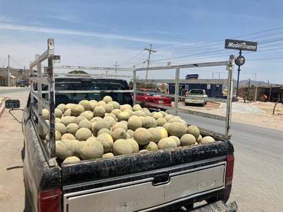 La semana pasada el precio del melón bajó hasta 6 pesos el kilogramo, ayer lunes se cotizó en 11 pesos. (EL SIGLO DE TORREÓN)