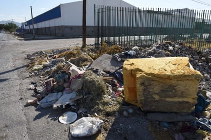 La Dirección de Servicios Públicos pide a la ciudadanía que se denuncie a quienes arrojan desechos en la vía pública. 
(EL SIGLO DE TORREÓN)