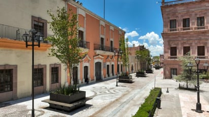 Se trata de árboles tipo crespón y encino siempre verde que son colocados en macetones. (ESPECIAL)