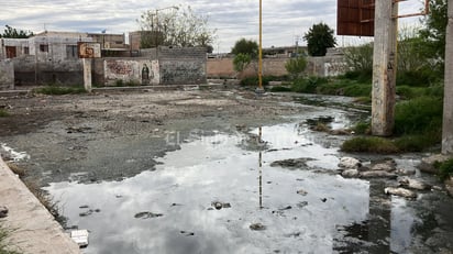 El Siglo de Torreón 