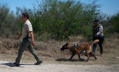  Integrantes de la fiscalía estatal acompañados de binomios caninos trabajan este jueves en la zona donde se localizaron restos humanos en el municipio de Pesquería. (EFE)