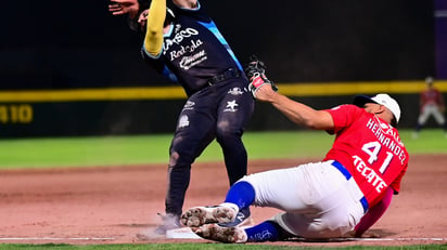 Liga Mexicana de Béisbol.