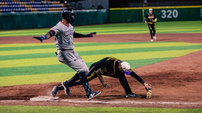 Liga Mexicana de Béisbol.