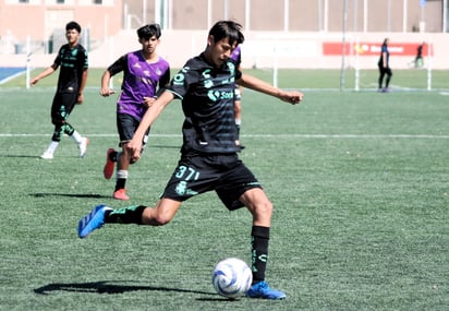 Los albiverdes salen como amplios favoritos para llevarse campeonato.