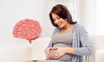 'Cerebro de mamá', fenómeno del embarazo