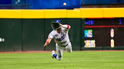 Liga Mexicana de Béisbol.