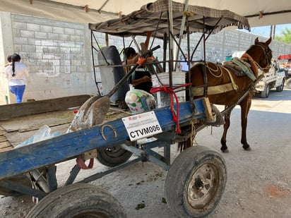 Se integran 50 carromateros al registro oficial de Torreón