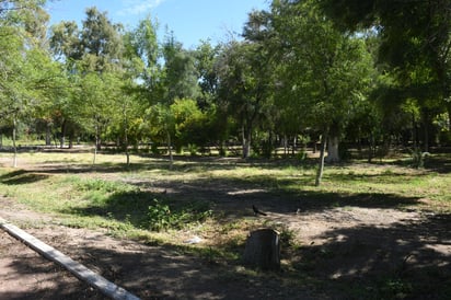 Parque Las Auras de Lerdo, un espacio de recreación en periodo vacacional