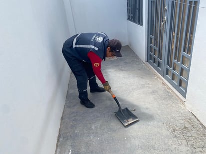 Capturan una serpiente en un domicilio de Ciudad Lerdo