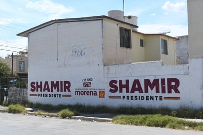 Proliferan bardas de Shamir Fernández