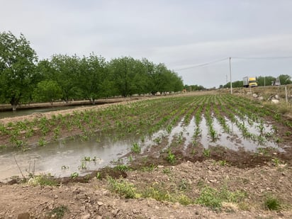 ¿Terminará huachicoleo de agua? Van por mediciones precisas sobre el consumo en los cultivos de la región