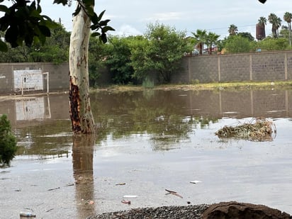 Estragos por la lluvia son mínimos en Madero: secretaria del Ayuntamiento