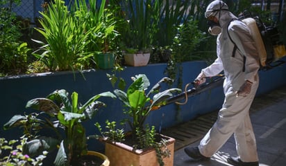 Coahuila registra 1,100 casos confirmados de dengue y reporta tres muertes