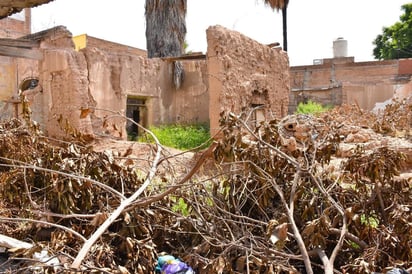 Estos lotes afectan la salud pública y la estética de la ciudad. (EL SIGLO DE TORREÓN)