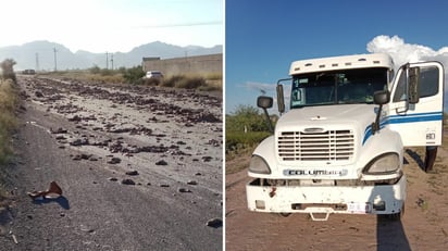 Tractocamión de la marca Freightliner, de color blanco con franjas azules. (EL SIGLO DE TORREÓN)