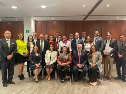 El presidente de la Asociación de Ingenieros de Minas, Metalurgistas y Geólogos de México (AIMMGM), Rubén del Pozo Mendoza. (CORTESÍA)