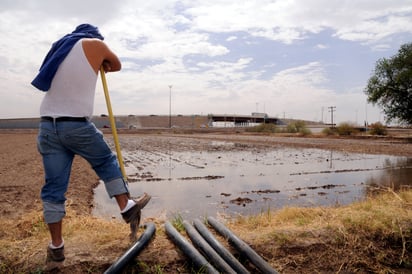 ‘El Palmito’ está en grave sequía, afecta producción agrícola