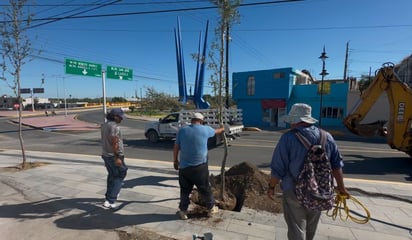 Reponen árboles secos en centro histórico de Monclova