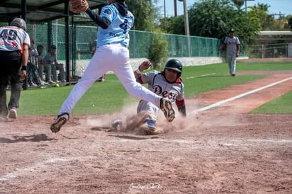 Liga de Beisbol de Empleados y Profesionistas.