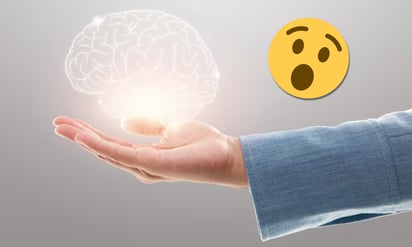 El cerebro no es la única parte que guarda recuerdos