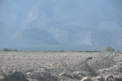 En la última quincena hubo un aumento de la superficie afectada por sequía en Coahuila