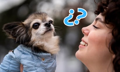 ¿Por qué los perros se parecen a sus dueños? La ciencia lo explica