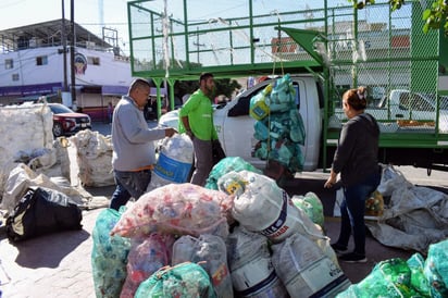 San Pedro recauda más de 6 toneladas en campaña de reciclaje y reforestación