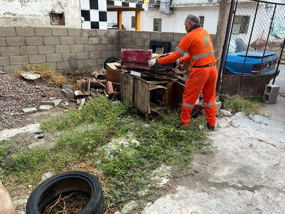 'Descacharre', programa contra el dengue. 