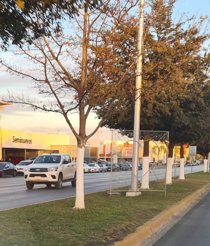 Por motivo del Día del Amor y la Amistad se instalaron corazones que se iluminan en la noche (EL SIGLO DE TORREÓN) 