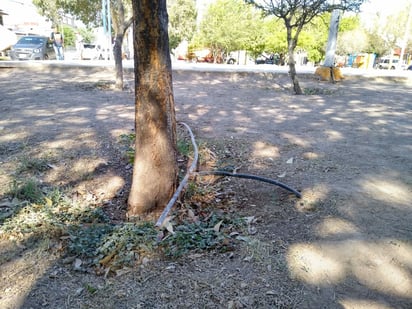 ROBERTO ITURRIAGA / EL SIGLO DE TORREÓN