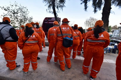 Se trata de trabajadores de la brigada de La Ola y que diariamente atienden parques, plazas y zonas de áreas verdes.