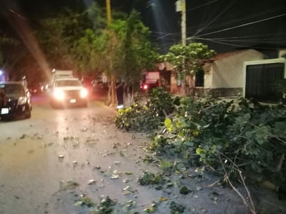 (EL SIGLO DE TORREÓN)