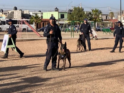 El Adiestramiento Civil Canino, es un programa que se lanzó una vez como piloto y debido a que tuvo mucho éxito con la ciudadanía, se seguirá haciendo todos los domingos en el marco de la Ruta Recreativa.