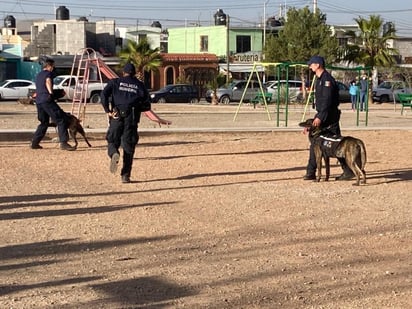 Cada canino está acompañado con su propio manejador, por el momento la corporación cuanta con los suficientes manejadores y perros.