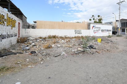 Más basura. Árboles que luchan por crecer entre la basura y el escombro es lo que se puede ver en diversos predios del fraccionamiento. (FERNANDO COMPEÁN)