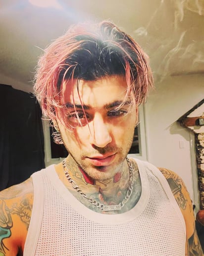 ESPECIAL: zayn
