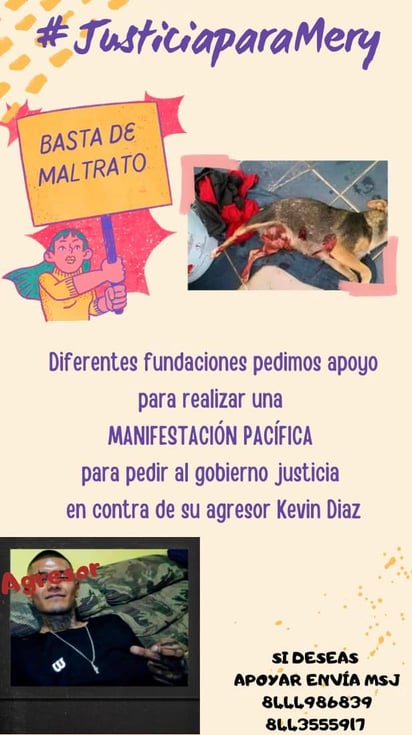 (ESPECIAL)