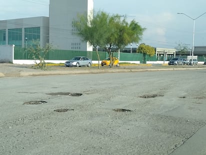 Autoridades ya se encuentran programando recorridos para dar solución a dicha problemática. (EL SIGLO DE TORREÓN)