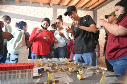 (Foto: SERGIO A. RODRÍGUEZ / EL SIGLO COAHUILA)