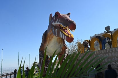 Navidad, Nacimiento y Dinos.
En el Puerto Noas, los visitantes pueden disfrutar de la exposición de dinosaurios, al igual que el Nacimiento, un set de fotos y otras figuras navideñas. (EL SIGLO DE TORREÓN)