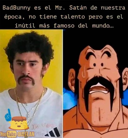 (REDES)